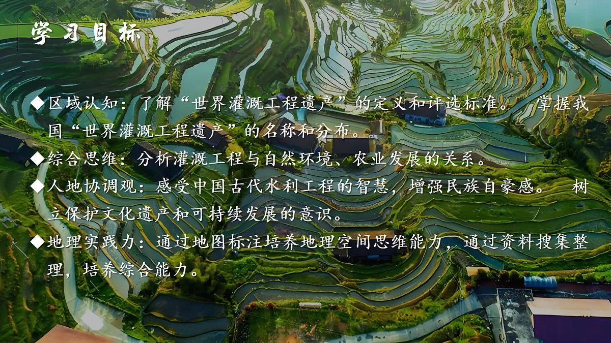 17266181第3页