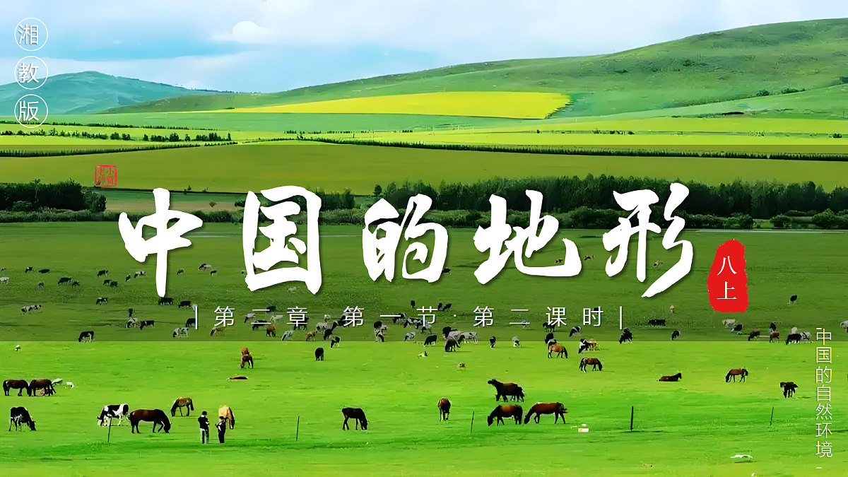 17266184第1页