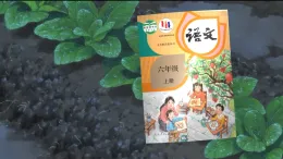 【任務(wù)型】統(tǒng)編版語文六年級上冊 《語文園地一》課件+教案+音視頻素材