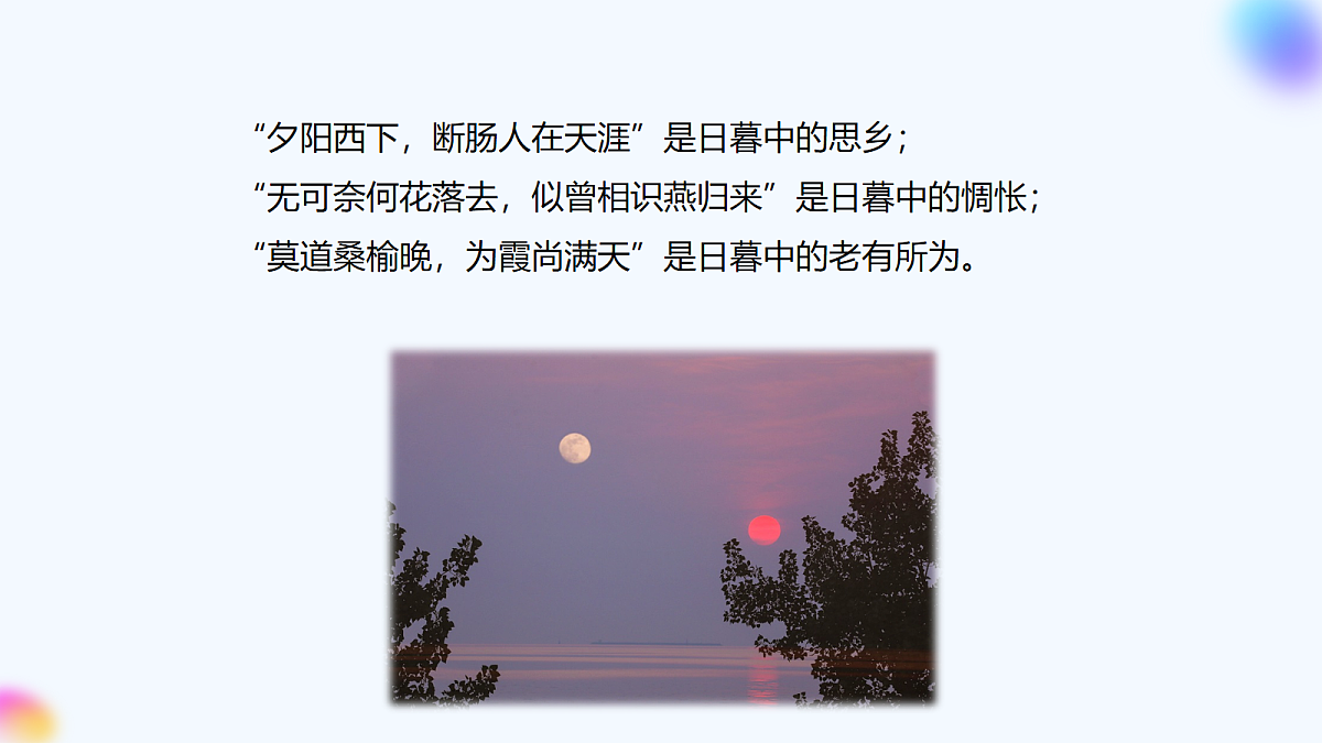 17266641第4页