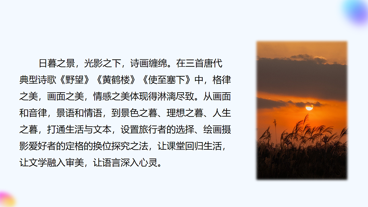 17266641第5页