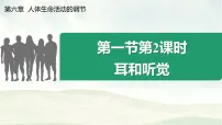 人教版（2024）八年级上册（2024）第一节 人体对外界环境的感知说课课件ppt