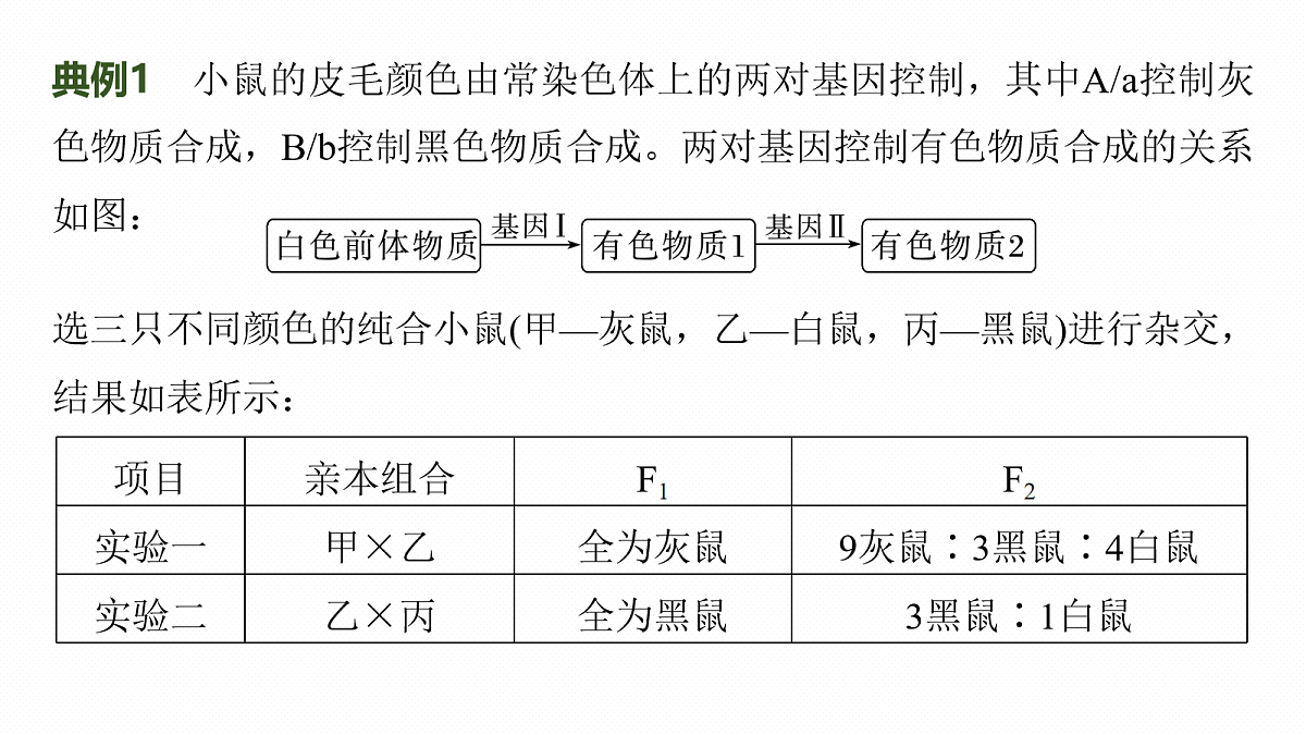 17268702第7页