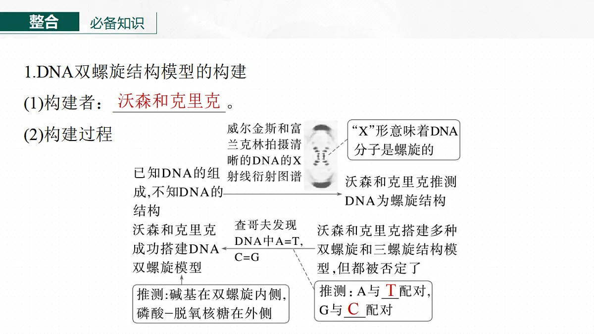 17268714第6页