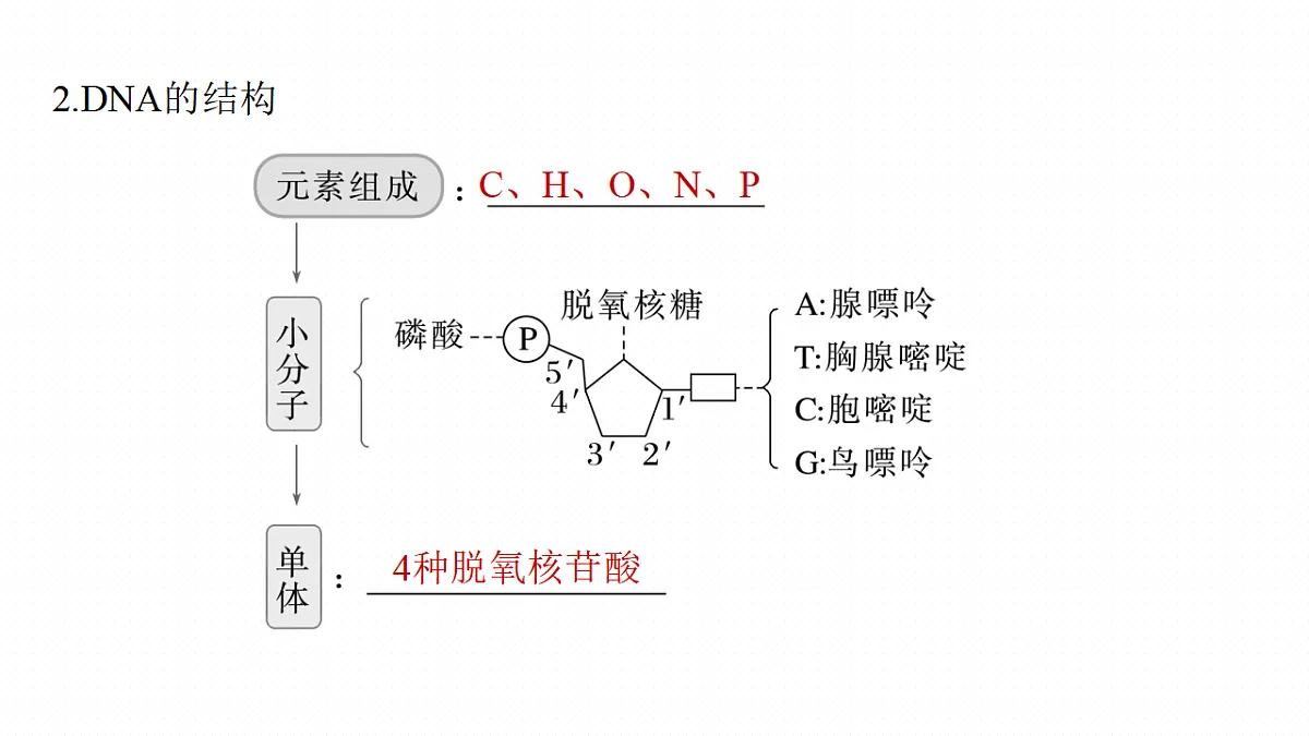 17268714第7页
