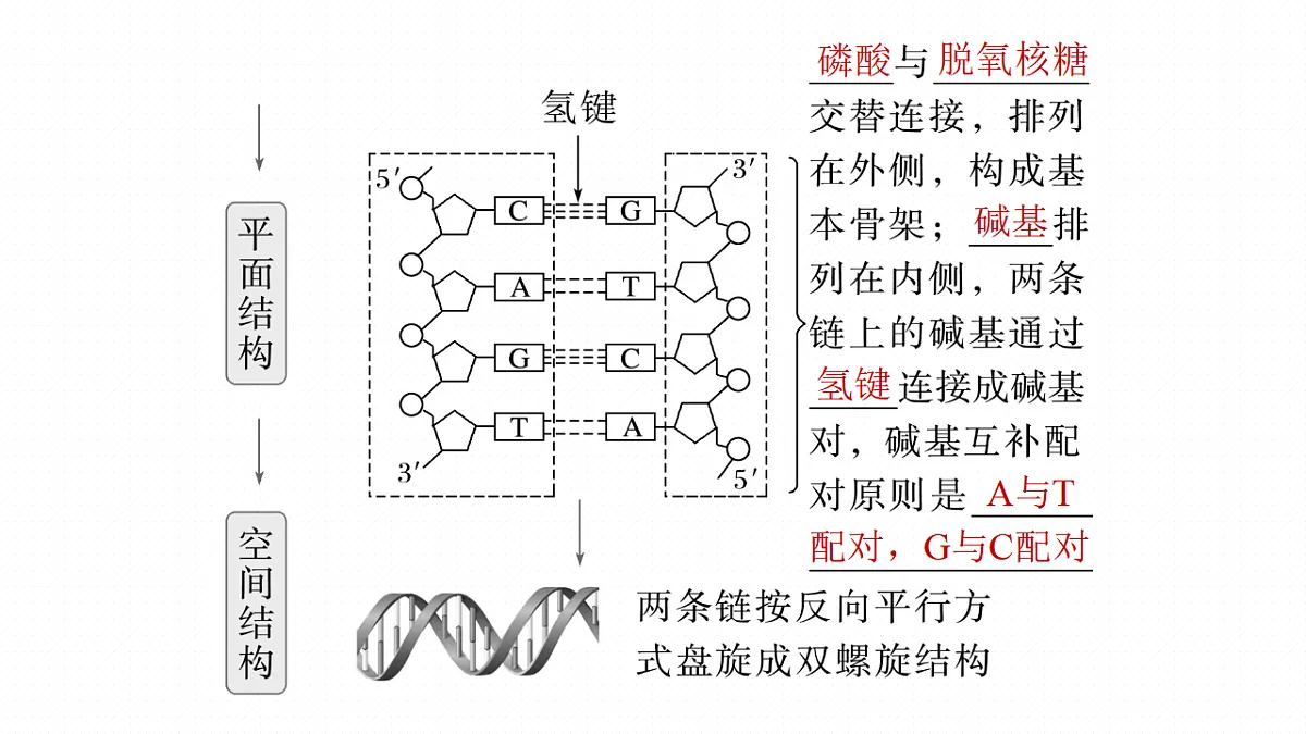 17268714第8页