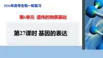 【备考2026】高考生物一轮复习资源：第6单元 第27课时 基因的表达（课件）