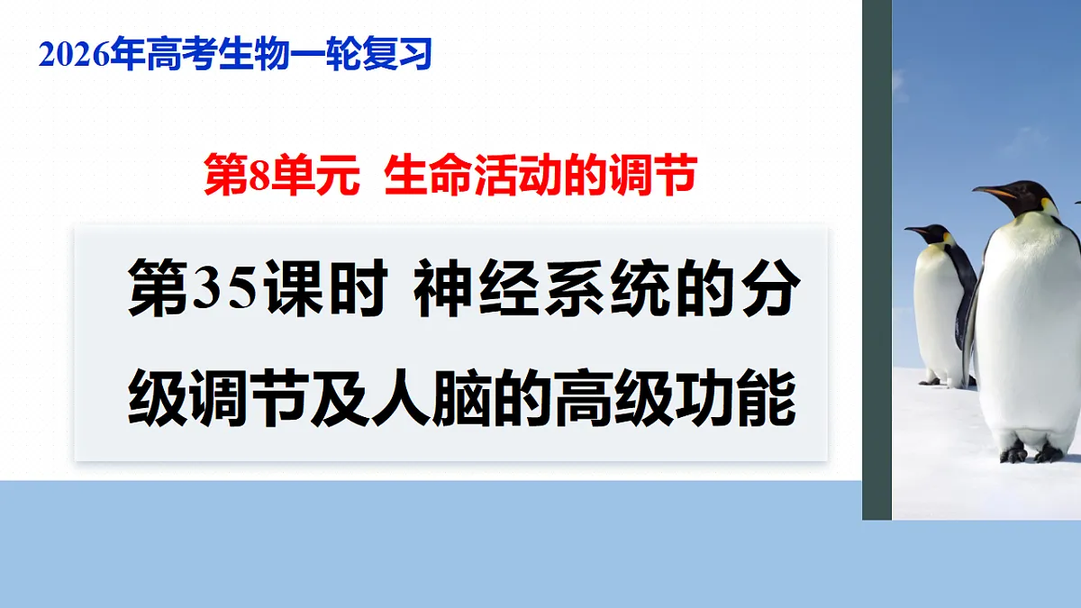 17268732第1页