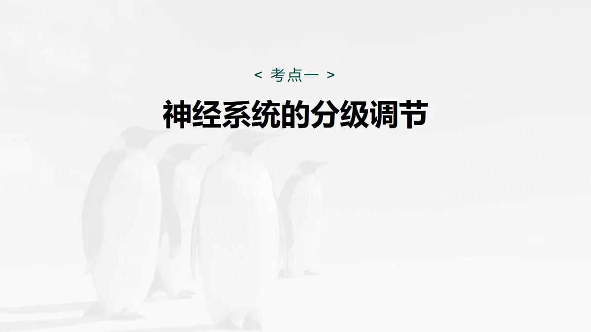 17268732第5页