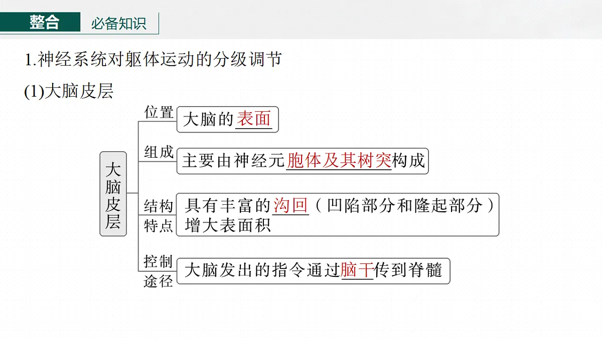 17268732第6页