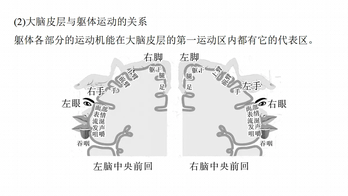 17268732第7页