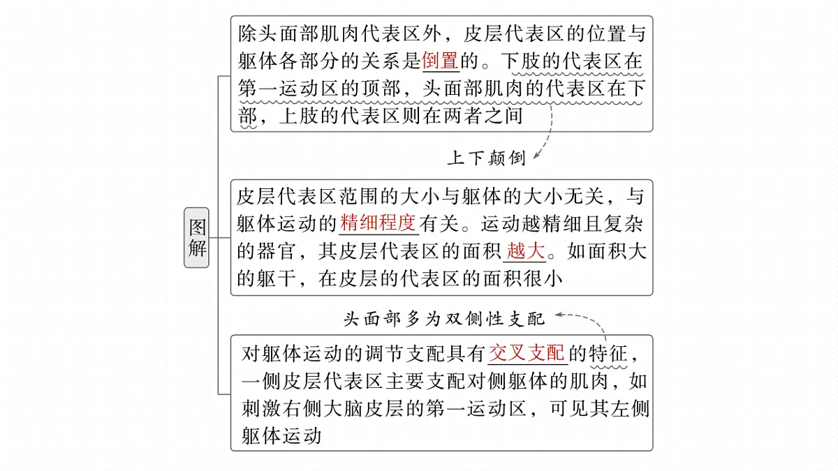 17268732第8页