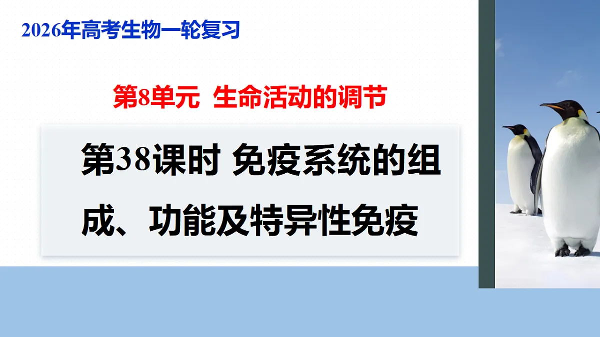 17268735第1页