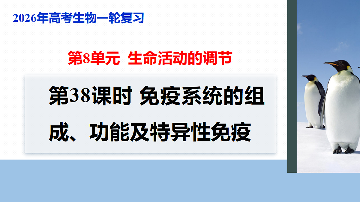 17268735第1页