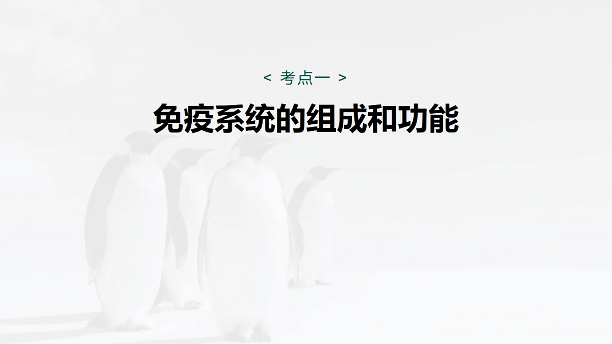 17268735第5页