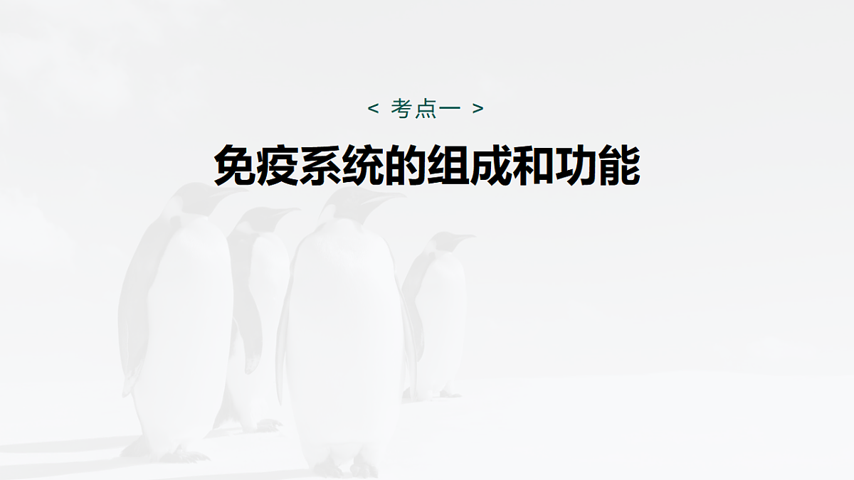 17268735第5页