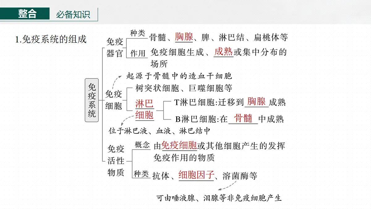 17268735第6页