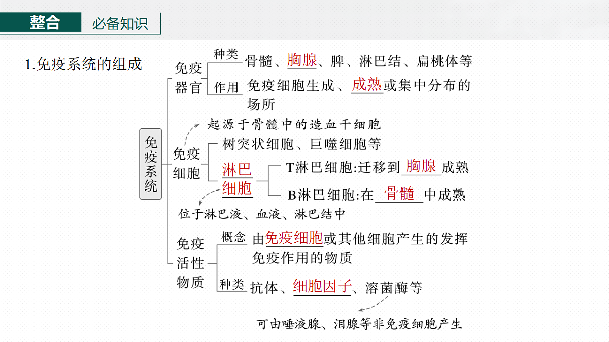17268735第6页