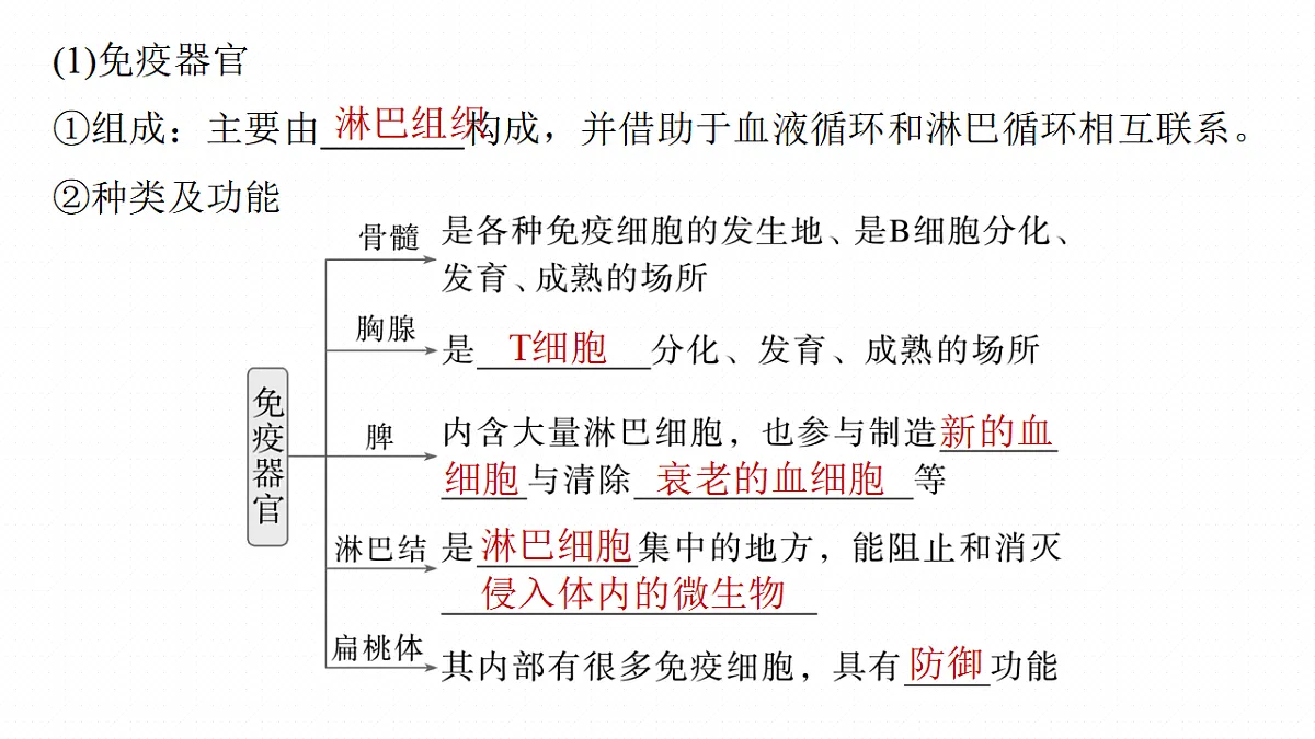 17268735第7页