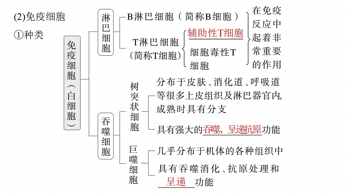 17268735第8页