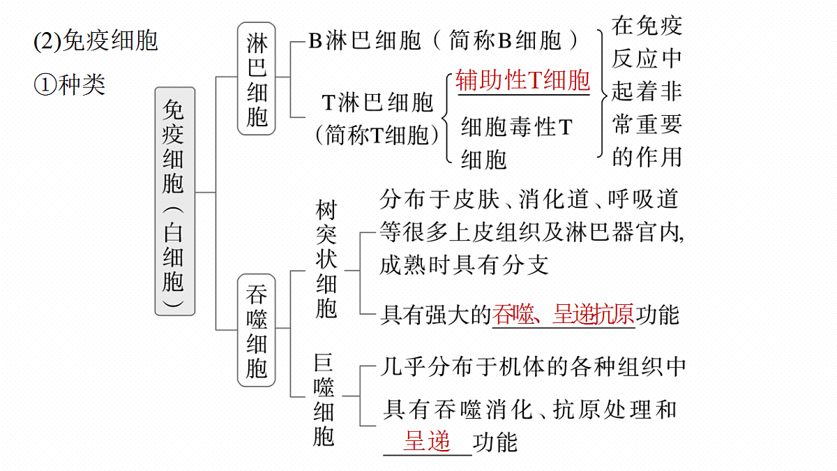 17268735第8页
