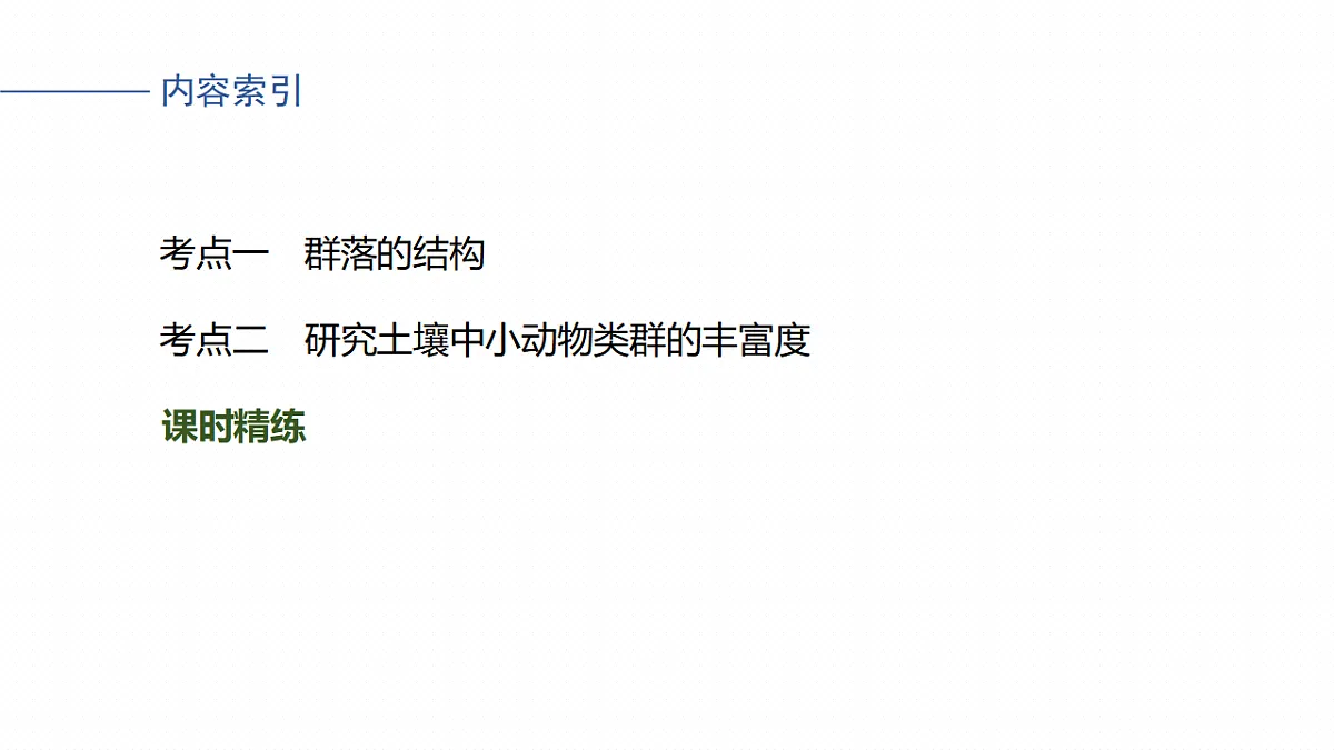 17268741第4页