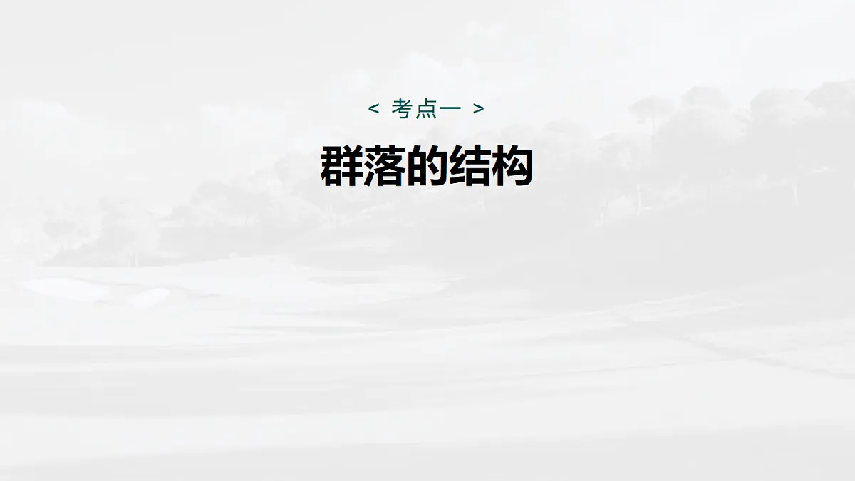 17268741第5页