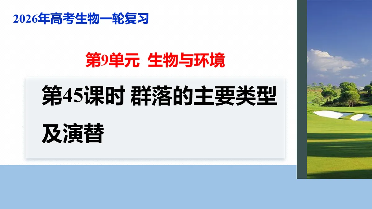 17268742第1页