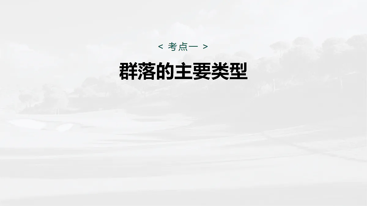 17268742第5页