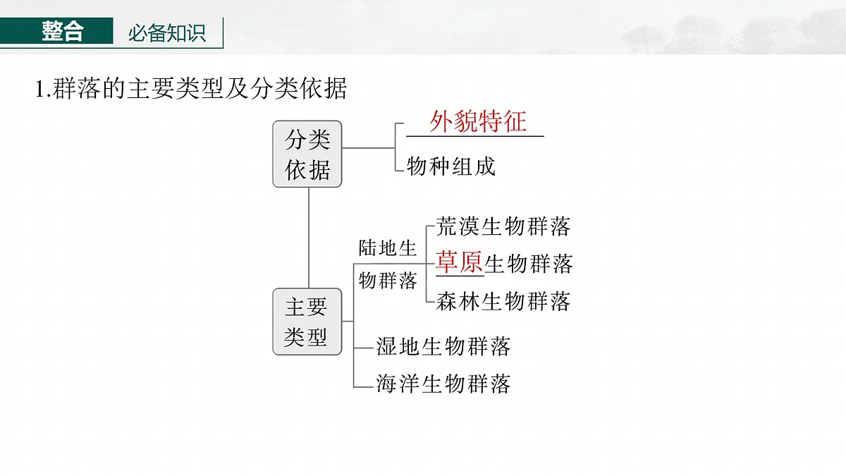 17268742第6页