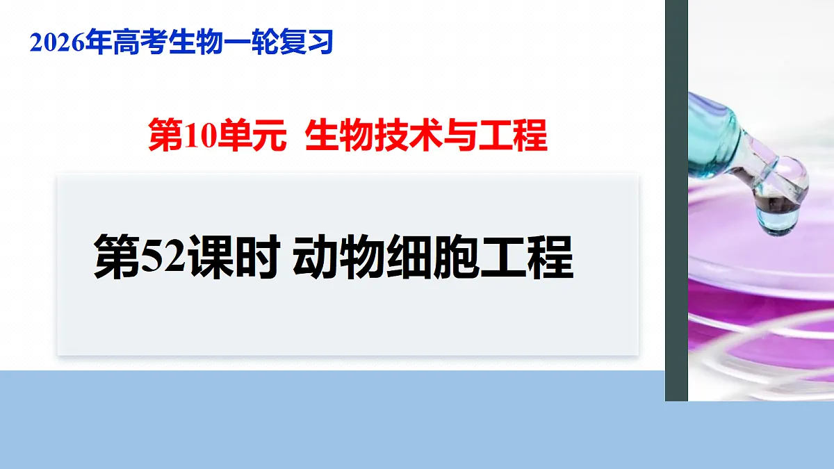 17268748第1页