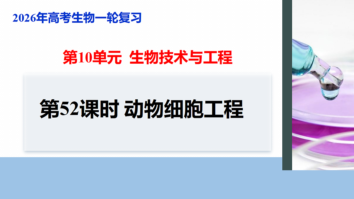 17268748第1页