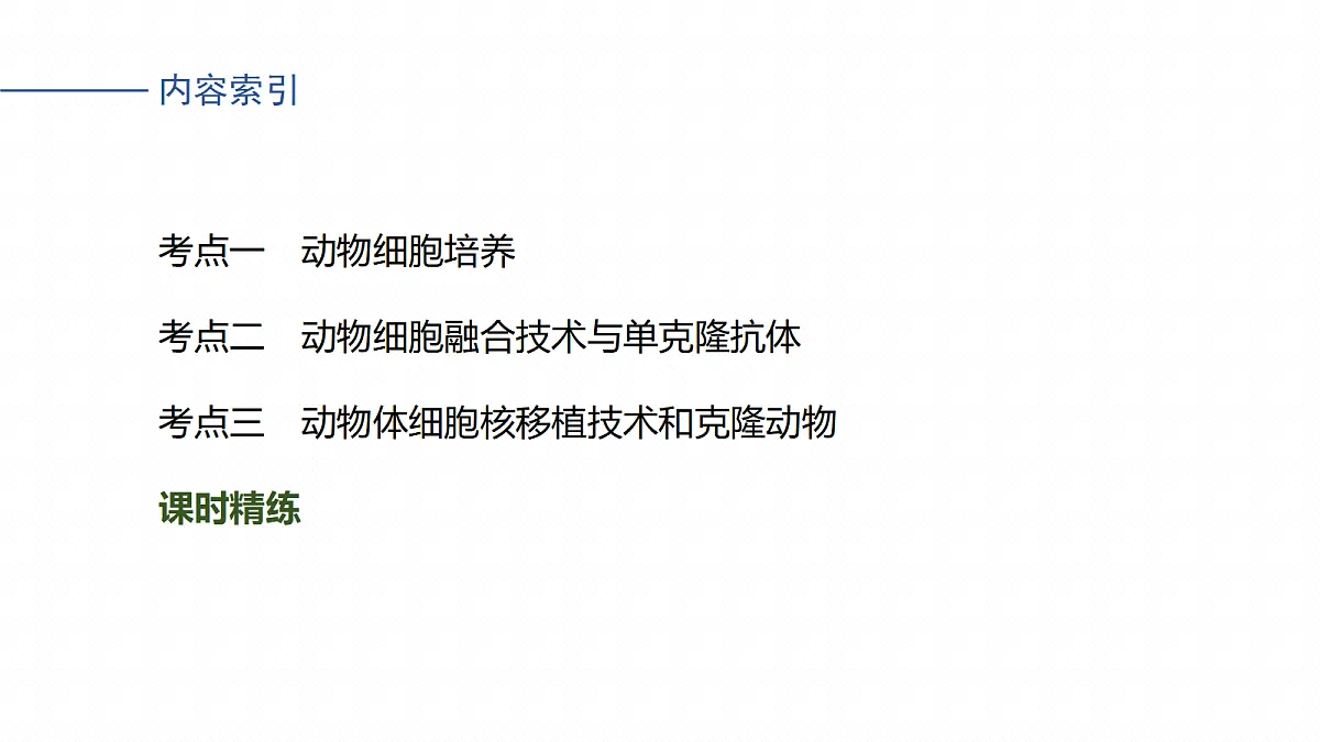 17268748第4页