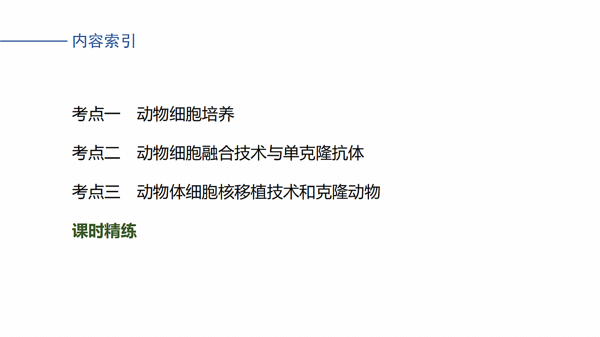 17268748第4页