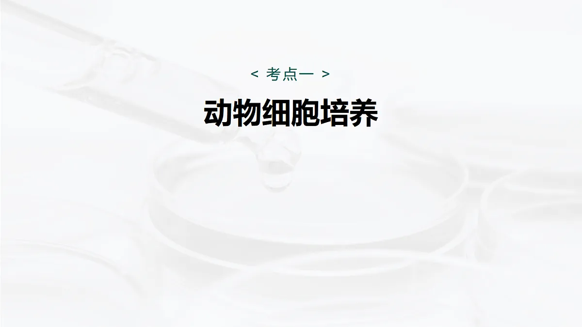 17268748第5页