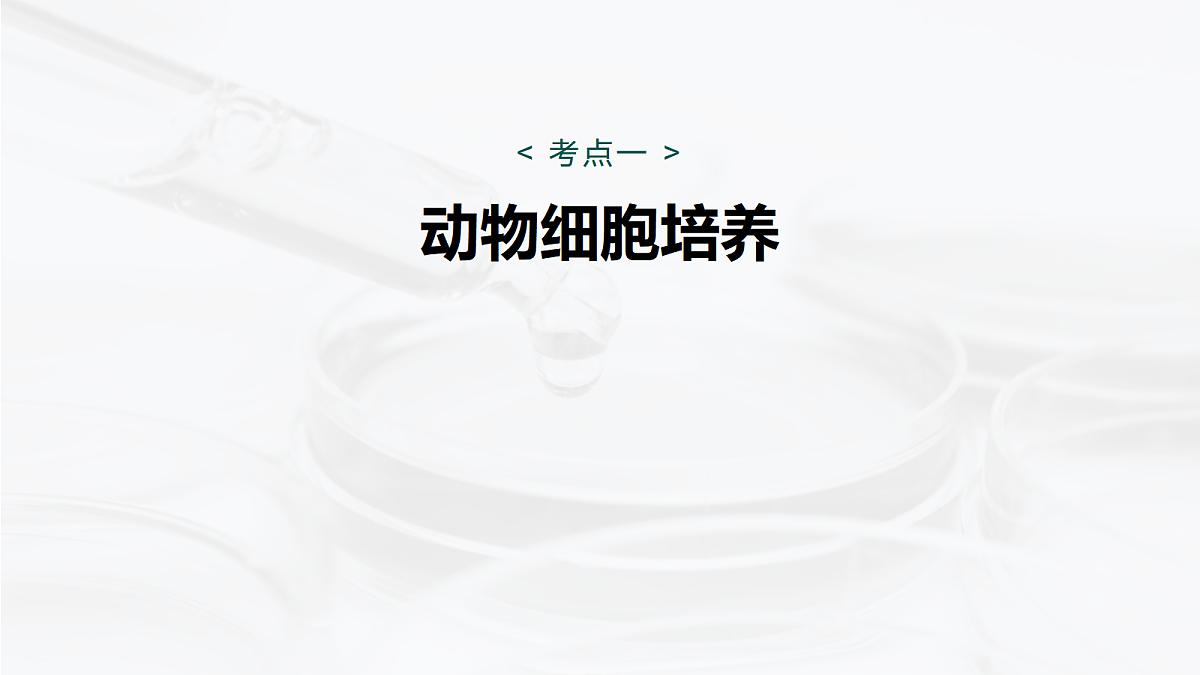 17268748第5页