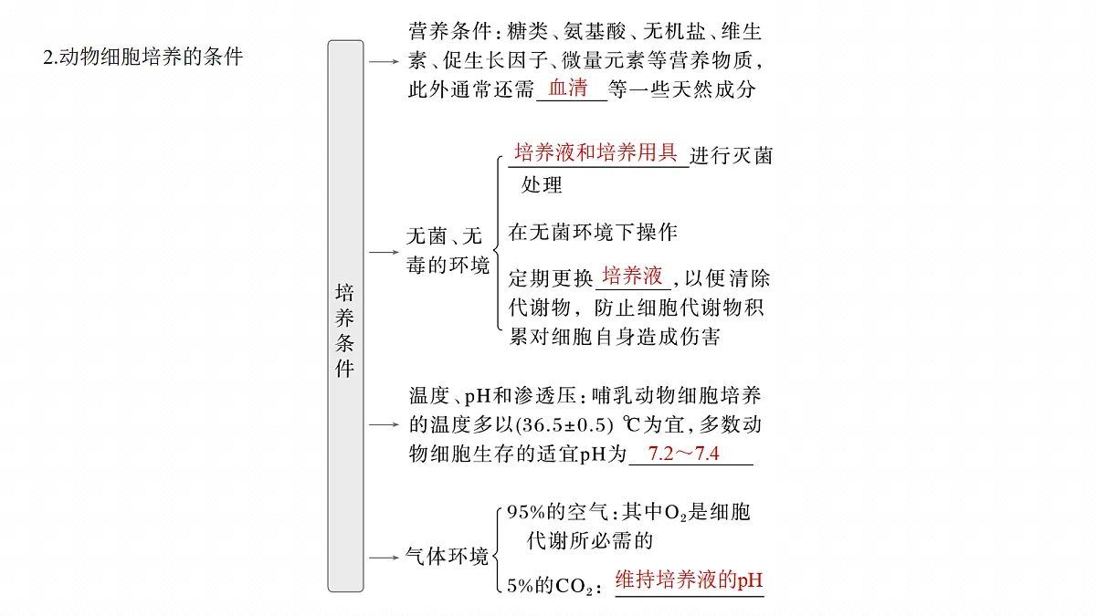 17268748第7页
