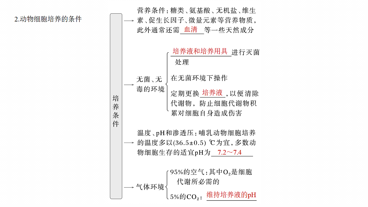 17268748第7页