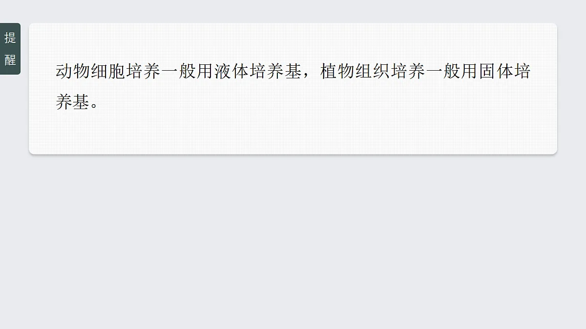 17268748第8页