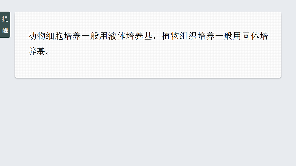 17268748第8页
