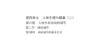人教版（2024）八年级上册（2024）第二节 神经调节备课课件ppt