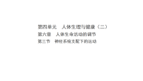 生物八年级上册（2024）第三节 神经系统支配下的运动课前预习ppt课件