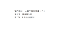 初中生物人教版（2024）八年级上册（2024）第二节 免疫与免疫规划示范课课件ppt