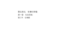 生物八年级上册（2024）第三节 生物圈教案配套课件ppt