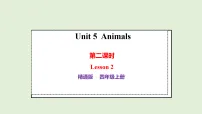 人教精通版（2024）四年级上册（2024）Unit 5 AnimalsLesson 2备课ppt课件