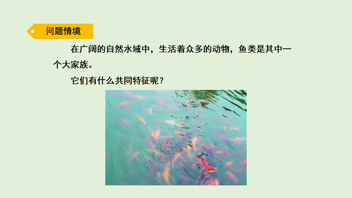 17269872第2页
