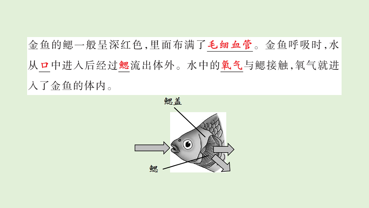 17269872第4页