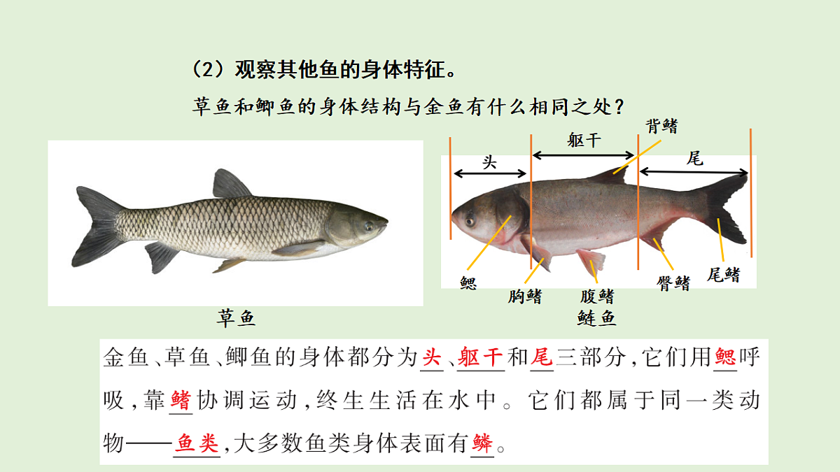 17269872第5页