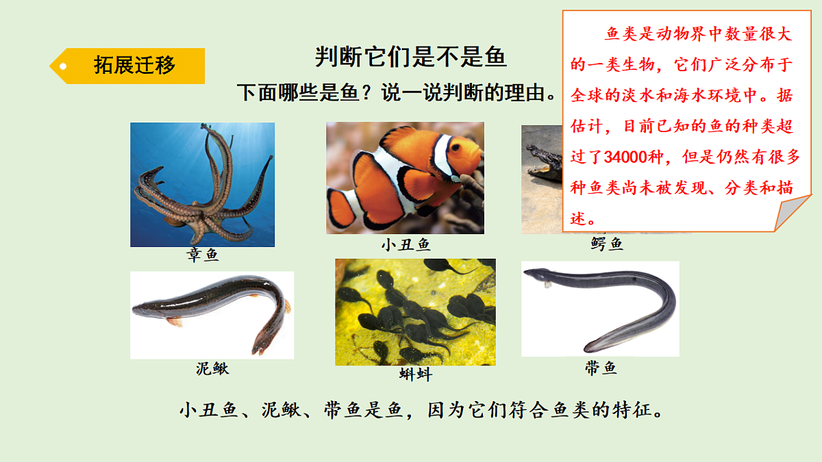 17269872第6页