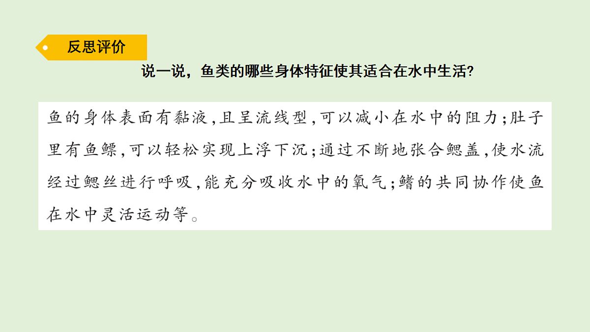 17269872第7页